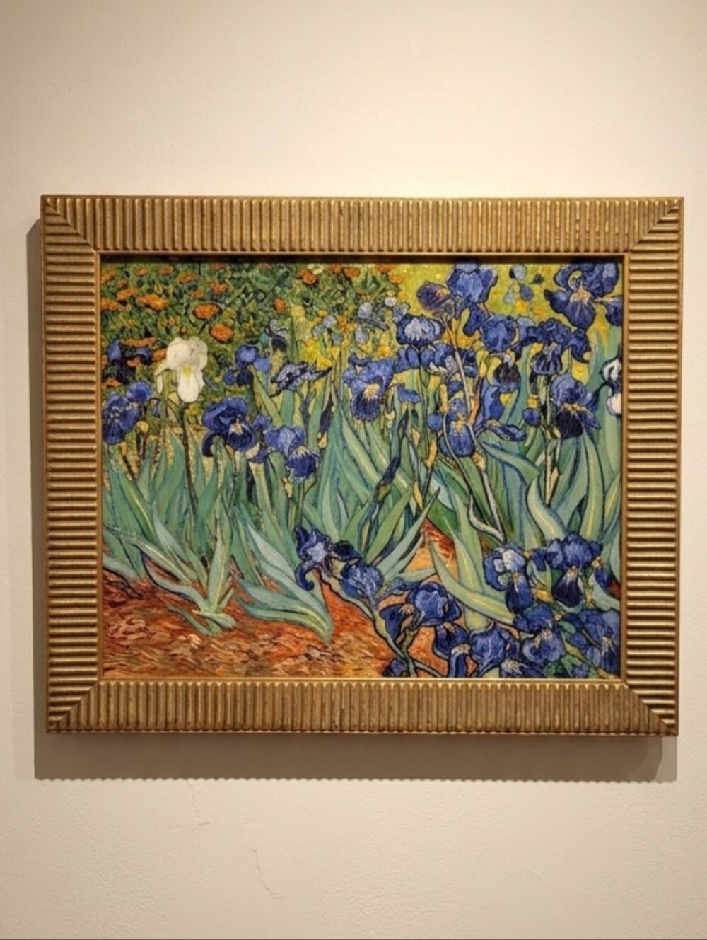 Van Gogh Irises Framed Canvas Brushstrokes Art COA Certificate of Authenticity